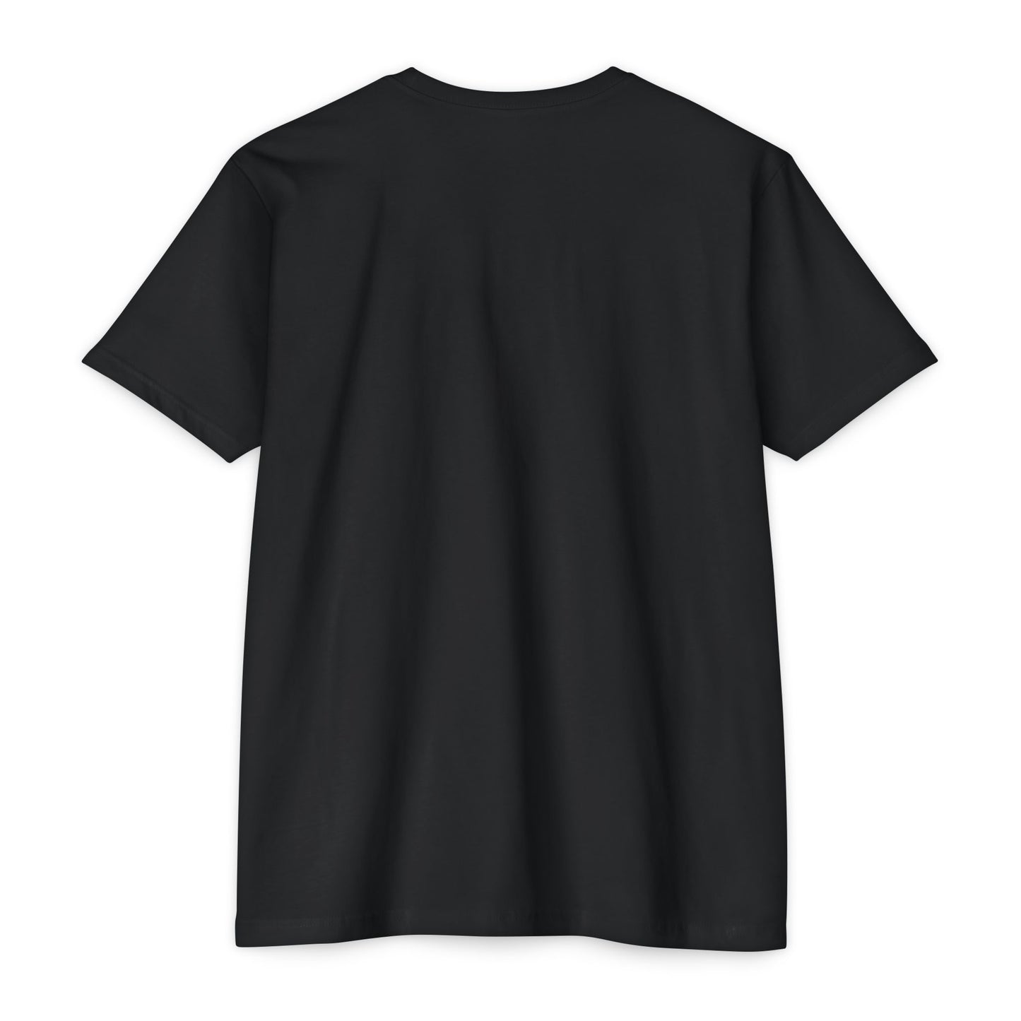 Immigrant Graphic Tee, Unique Unisex T-Shirt, Statement Shirt, Vintage Style Apparel, Great Gift for History Buffs