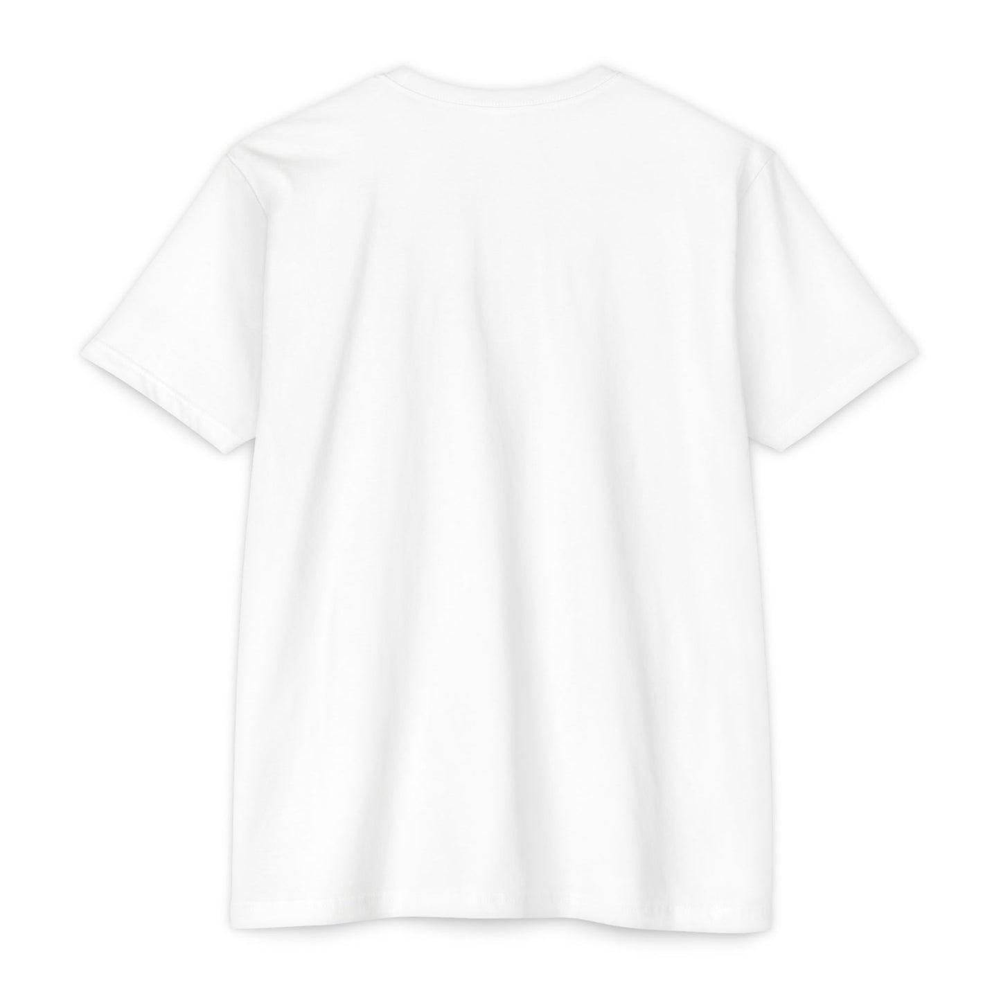 Immigrant Graphic Tee, Unique Unisex T-Shirt, Statement Shirt, Vintage Style Apparel, Great Gift for History Buffs